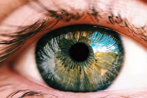 What Does the Vitreous Gel Do in the Human Eye? featured image